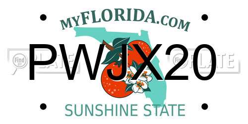 PWJX20 Florida License Plate