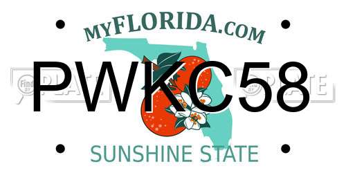PWKC58 Florida License Plate
