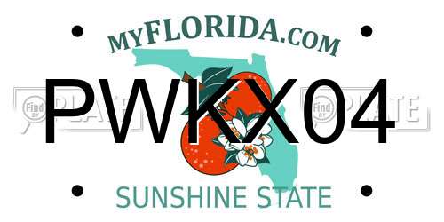 PWKX04 Florida License Plate