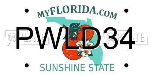 PWLD34 Florida License Plate