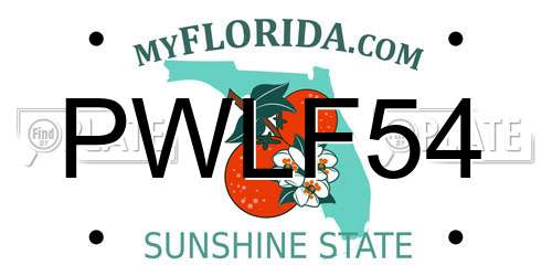 PWLF54 Florida License Plate