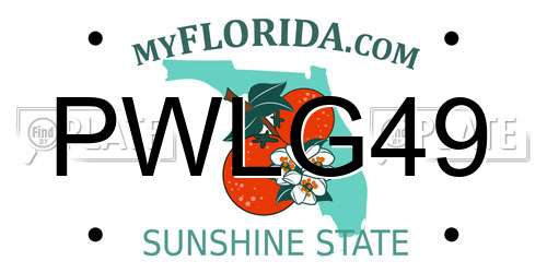 PWLG49 Florida License Plate