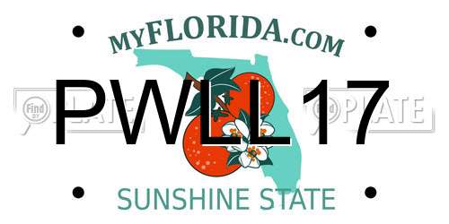 PWLL17 Florida License Plate