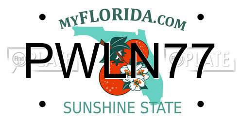 PWLN77 Florida License Plate