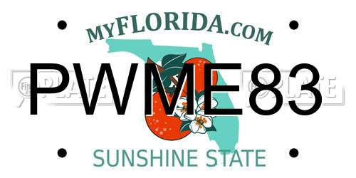 PWME83 Florida License Plate