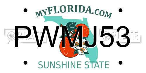 PWMJ53 Florida License Plate