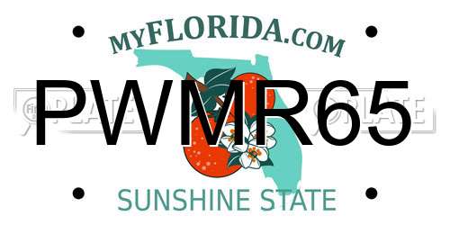 PWMR65 Florida License Plate