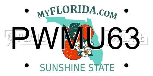PWMU63 Florida License Plate