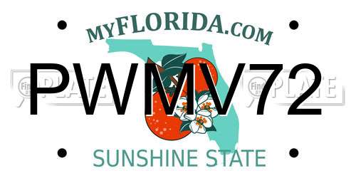 PWMV72 Florida License Plate