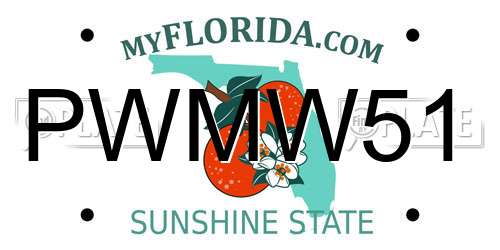 PWMW51 Florida License Plate