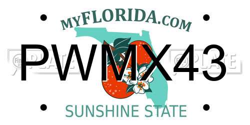 PWMX43 Florida License Plate