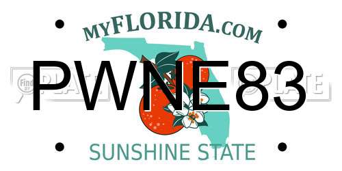 PWNE83 Florida License Plate