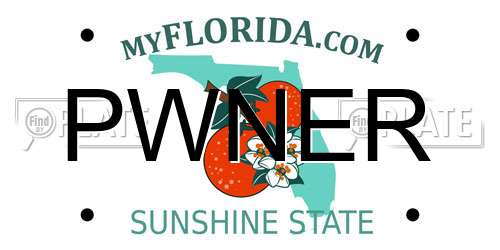 PWNER Florida License Plate