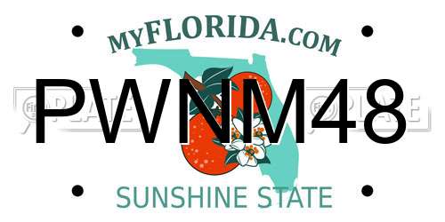 PWNM48 Florida License Plate