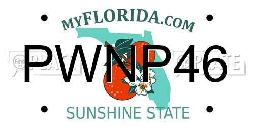 PWNP46 Florida License Plate