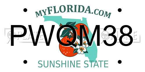 PWQM38 Florida License Plate