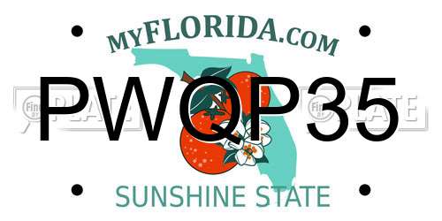 PWQP35 Florida License Plate