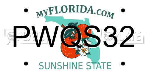 PWQS32 Florida License Plate