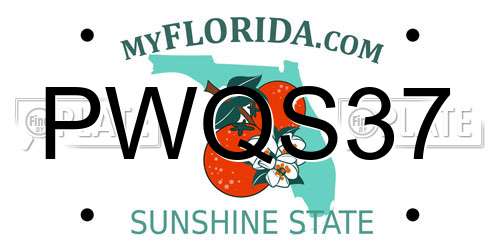PWQS37 Florida License Plate