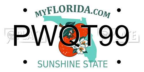 PWQT99 Florida License Plate