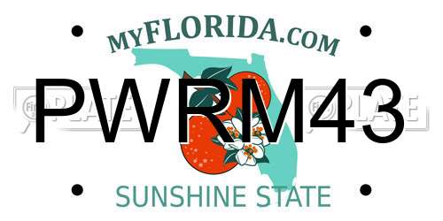 PWRM43 Florida License Plate