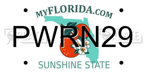 PWRN29 Florida License Plate