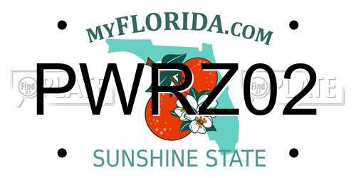 PWRZ02 Florida License Plate
