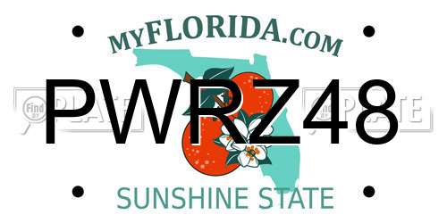 PWRZ48 Florida License Plate