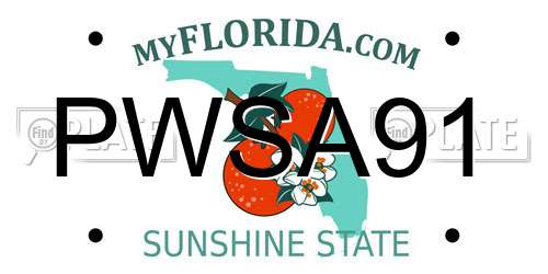 PWSA91 Florida License Plate