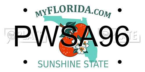 PWSA96 Florida License Plate