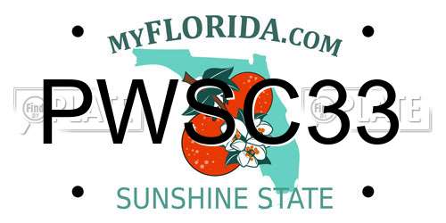 PWSC33 Florida License Plate