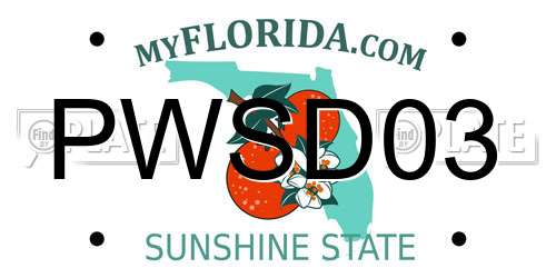 PWSD03 Florida License Plate