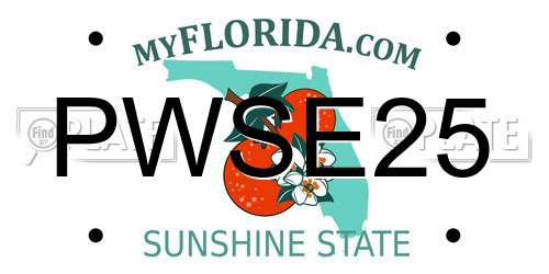 PWSE25 Florida License Plate