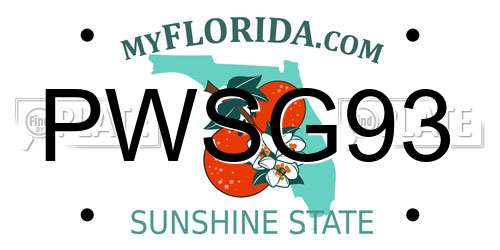 PWSG93 Florida License Plate