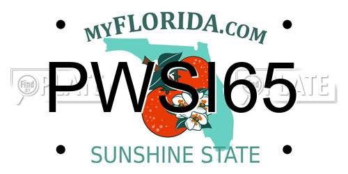 PWSI65 Florida License Plate