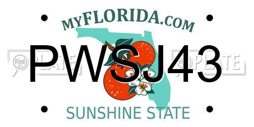 PWSJ43 Florida License Plate
