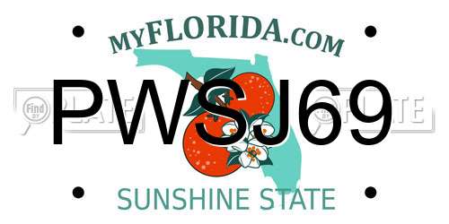 PWSJ69 Florida License Plate