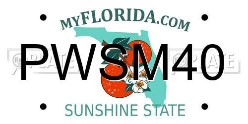 PWSM40 Florida License Plate