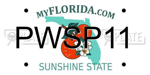 PWSP11 Florida License Plate