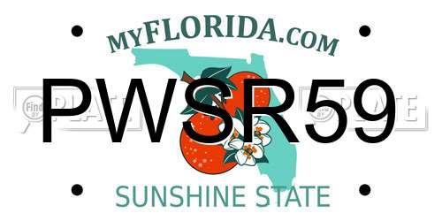 PWSR59 Florida License Plate