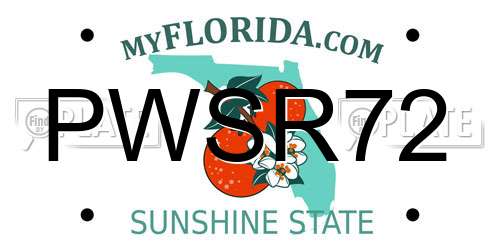 PWSR72 Florida License Plate