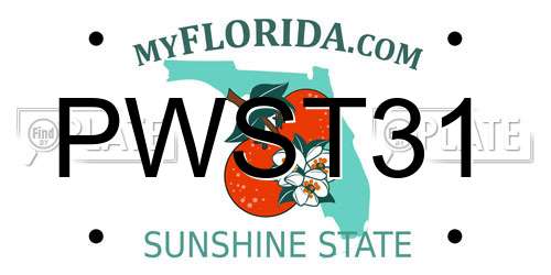 PWST31 Florida License Plate