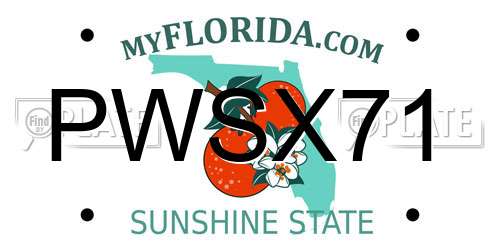 PWSX71 Florida License Plate