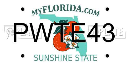 PWTE43 Florida License Plate