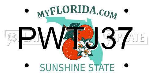 PWTJ37 Florida License Plate