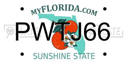 PWTJ66 Florida License Plate