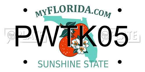 PWTK05 Florida License Plate