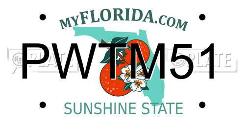 PWTM51 Florida License Plate