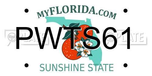 PWTS61 Florida License Plate