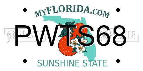 PWTS68 Florida License Plate